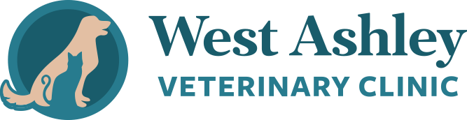 West Ashley Veterinary Clinic Home