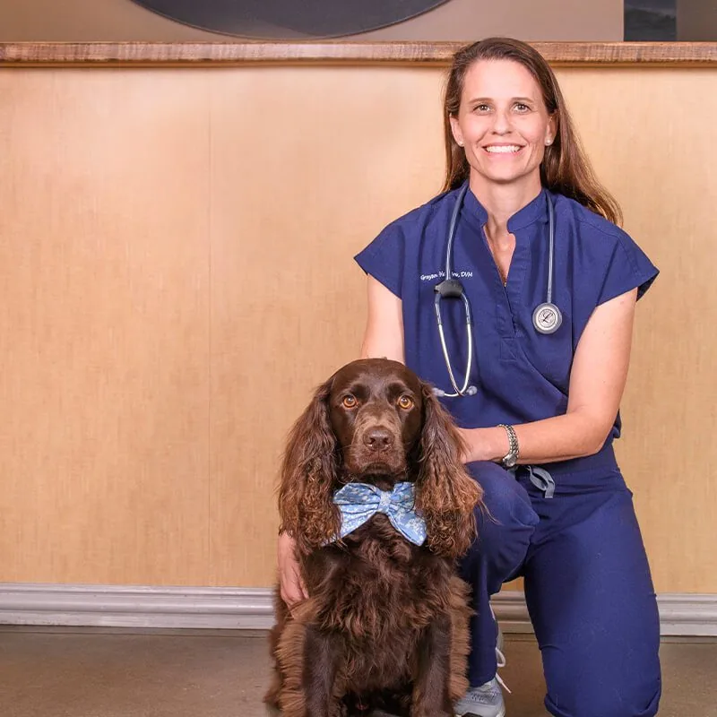 Grayson Hudgins, DVM