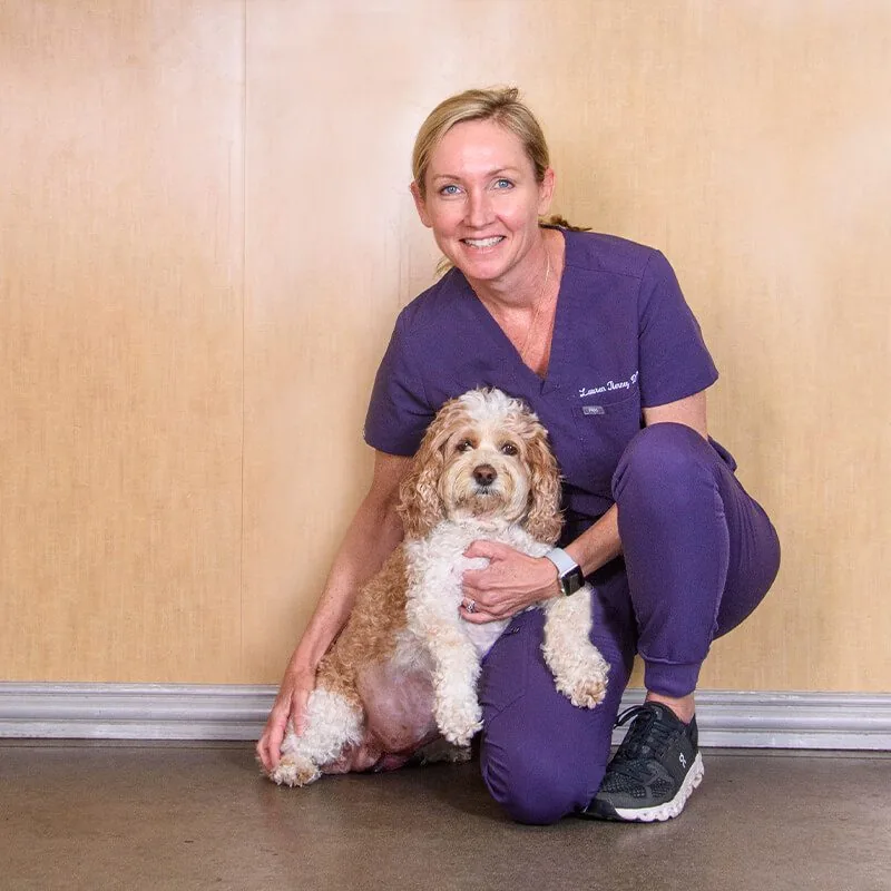 Lauren Tierney, DVM
